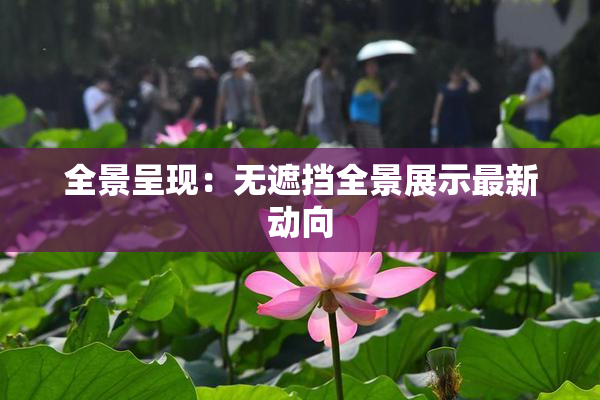 全景呈现：无遮挡全景展示最新动向