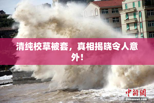 清纯校草被套，真相揭晓令人意外！