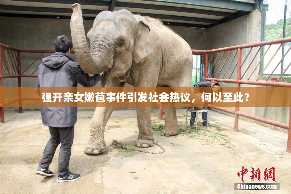 强开亲女嫩苞事件引发社会热议，何以至此？