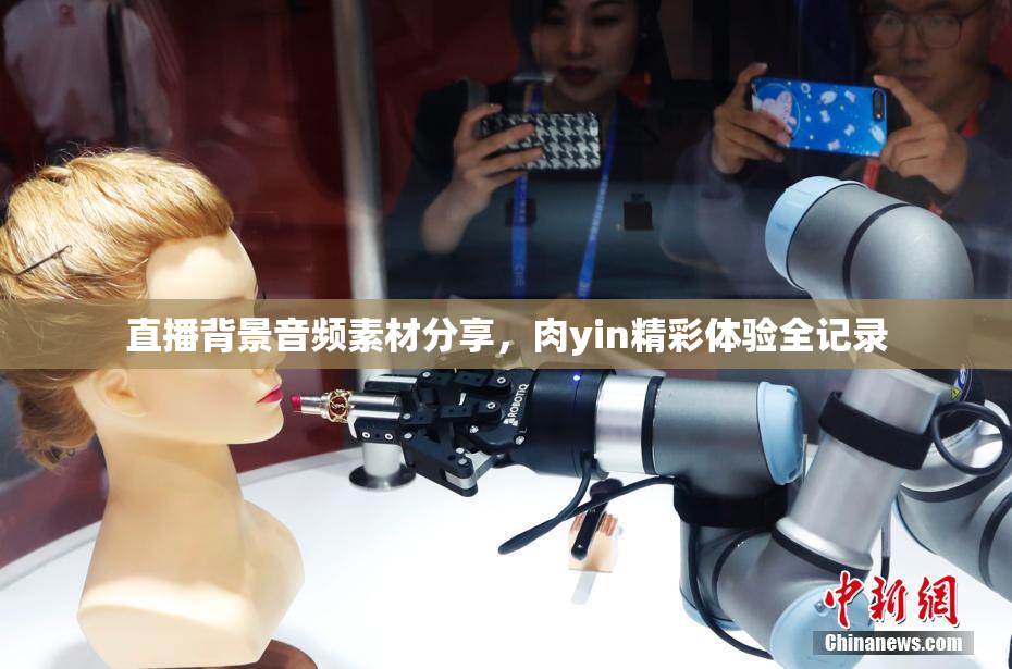 直播背景音频素材分享，肉yin精彩体验全记录