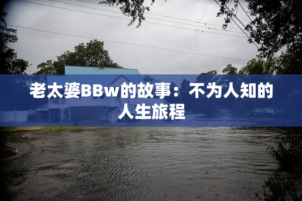 老太婆BBw的故事：不为人知的人生旅程
