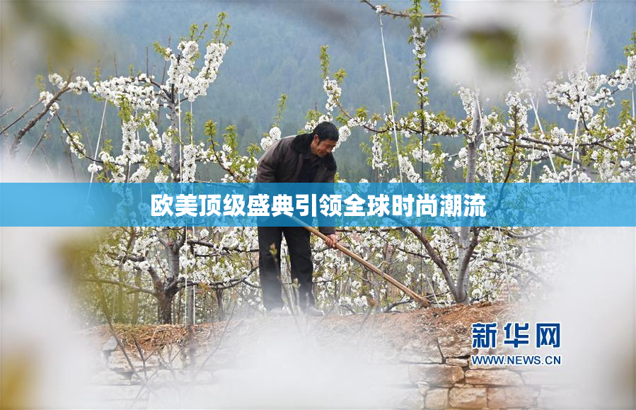 欧美顶级盛典引领全球时尚潮流