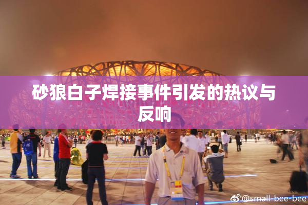 砂狼白子焊接事件引发的热议与反响