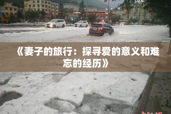 《妻子的旅行：探寻爱的意义和难忘的经历》