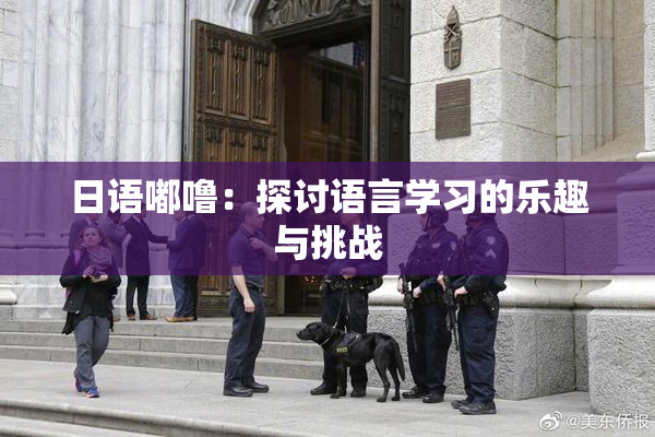 日语嘟噜：探讨语言学习的乐趣与挑战