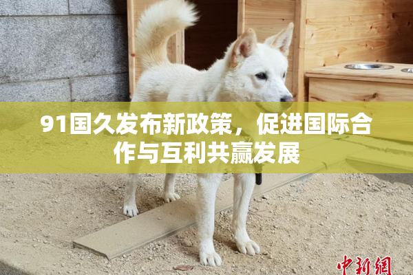 91国久发布新政策，促进国际合作与互利共赢发展