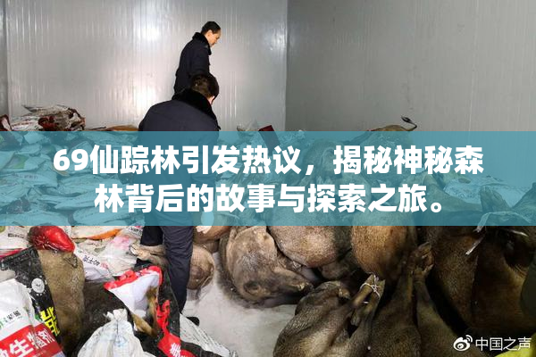 69仙踪林引发热议，揭秘神秘森林背后的故事与探索之旅。