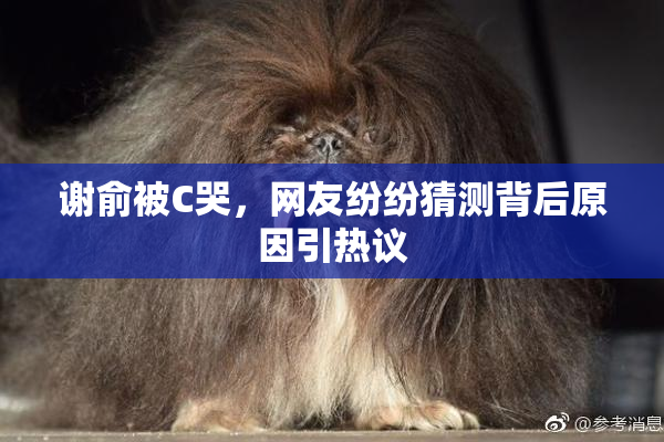 谢俞被C哭，网友纷纷猜测背后原因引热议