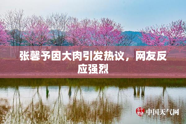 张馨予因大肉引发热议，网友反应强烈