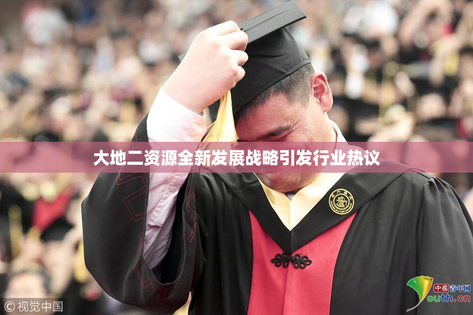 大地二资源全新发展战略引发行业热议