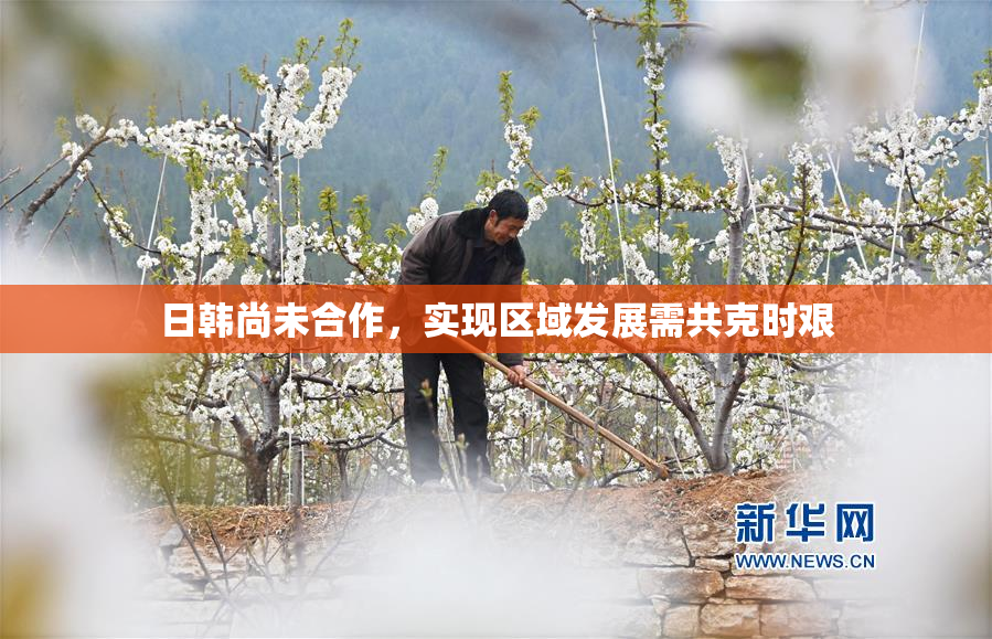 日韩尚未合作，实现区域发展需共克时艰