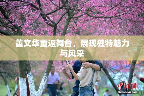 董文华重返舞台，展现独特魅力与风采