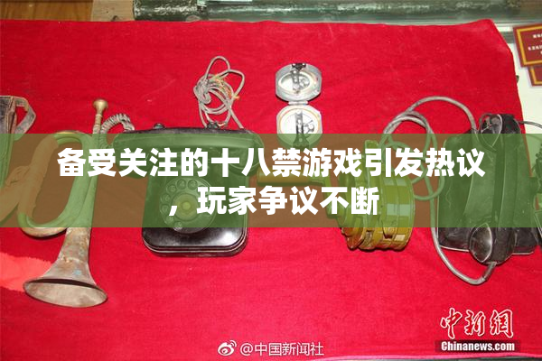 备受关注的十八禁游戏引发热议，玩家争议不断