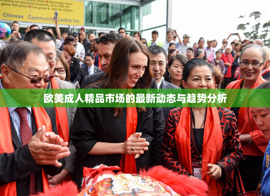 欧美成人精品市场的最新动态与趋势分析