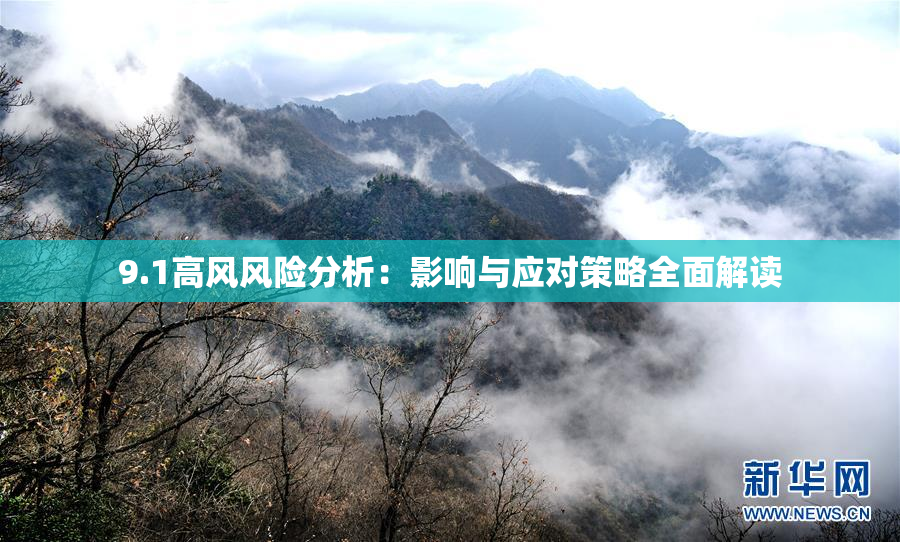 9.1高风风险分析：影响与应对策略全面解读