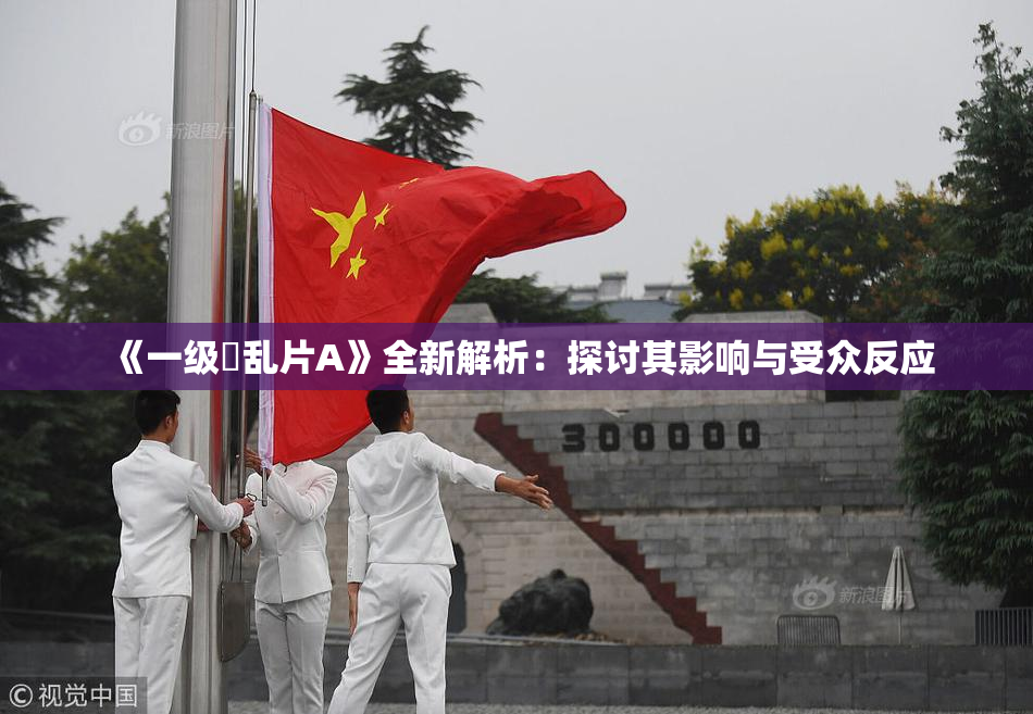 《一级婬乱片A》全新解析：探讨其影响与受众反应