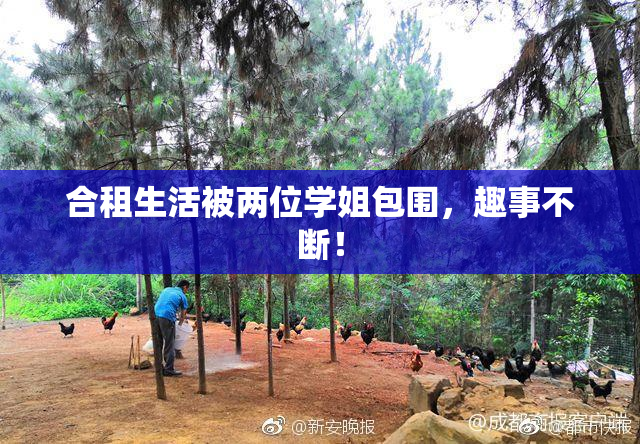 合租生活被两位学姐包围，趣事不断！