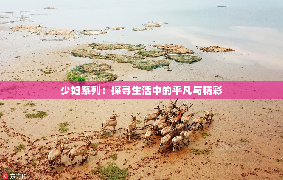少妇系列：探寻生活中的平凡与精彩