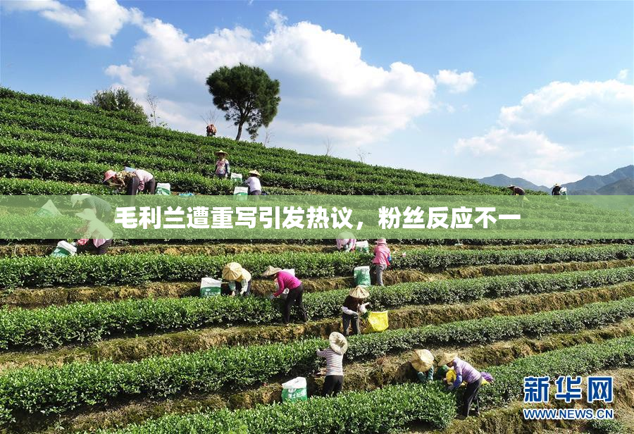 毛利兰遭重写引发热议，粉丝反应不一