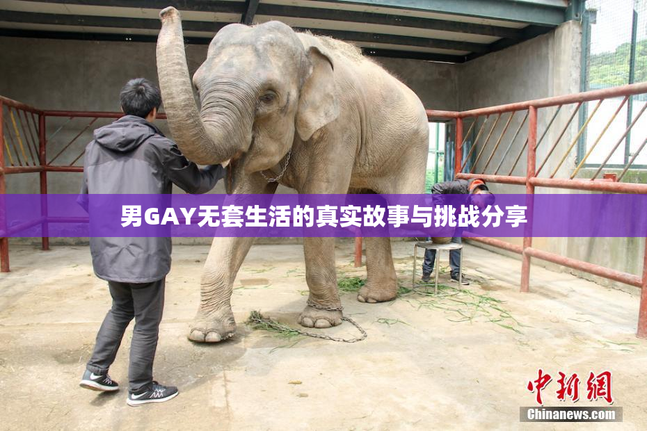 男GAY无套生活的真实故事与挑战分享