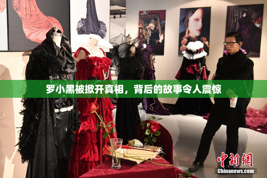 罗小黑被掀开真相，背后的故事令人震惊