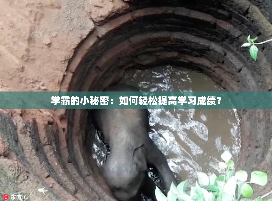 学霸的小秘密：如何轻松提高学习成绩？