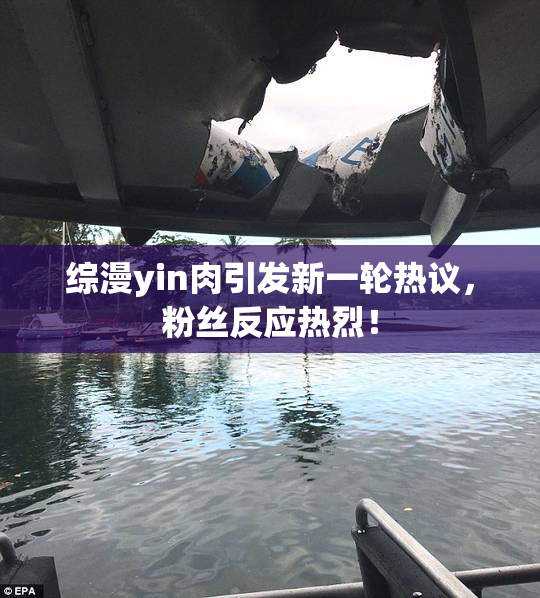 综漫yin肉引发新一轮热议，粉丝反应热烈！