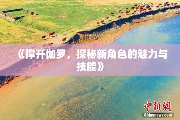 《撑开伽罗，探秘新角色的魅力与技能》