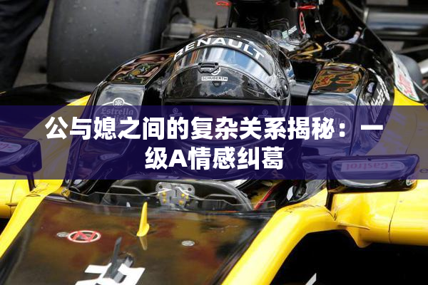 公与媳之间的复杂关系揭秘：一级A情感纠葛