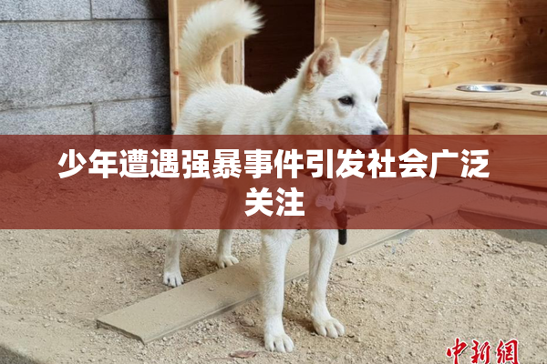 少年遭遇强暴事件引发社会广泛关注