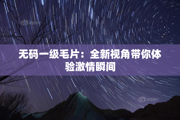 无码一级毛片：全新视角带你体验激情瞬间