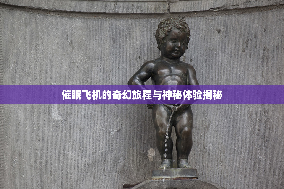 催眠飞机的奇幻旅程与神秘体验揭秘