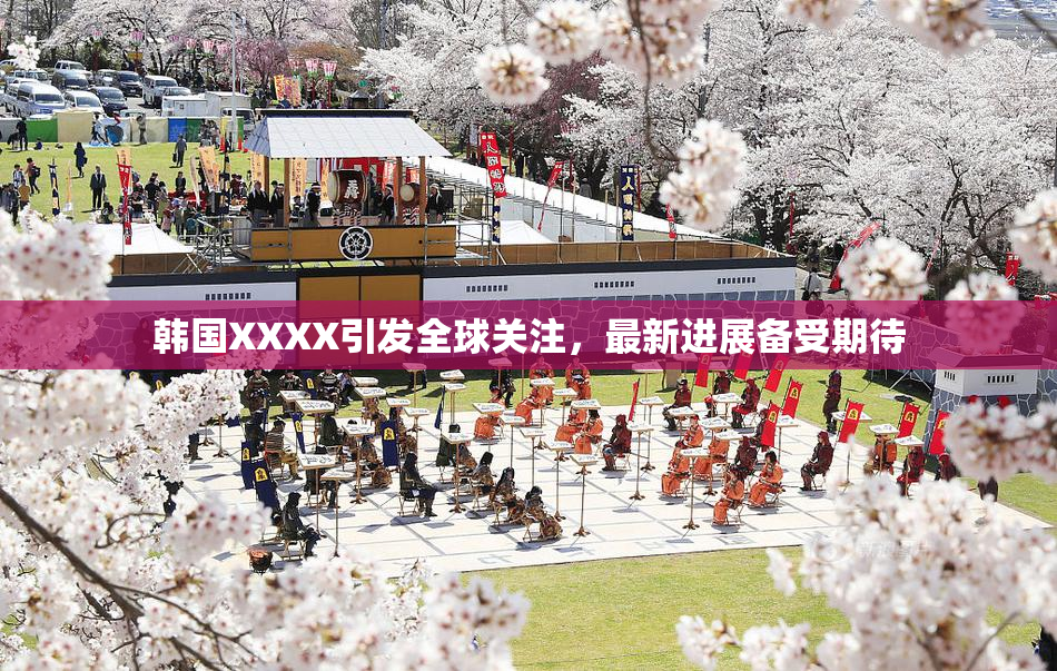 韩国XXXX引发全球关注，最新进展备受期待