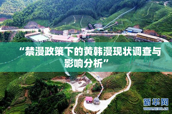 “禁漫政策下的黄韩漫现状调查与影响分析”