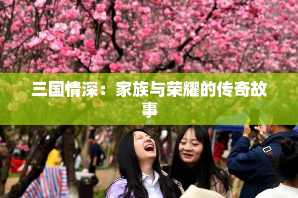 三国情深：家族与荣耀的传奇故事