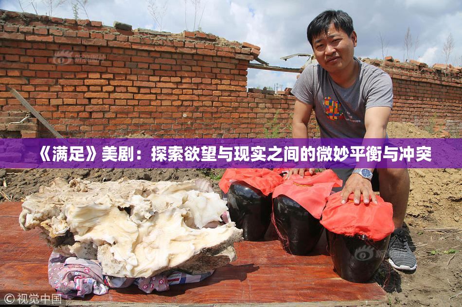 《满足》美剧：探索欲望与现实之间的微妙平衡与冲突