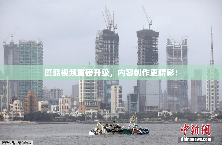 蘑菇视频重磅升级，内容创作更精彩！