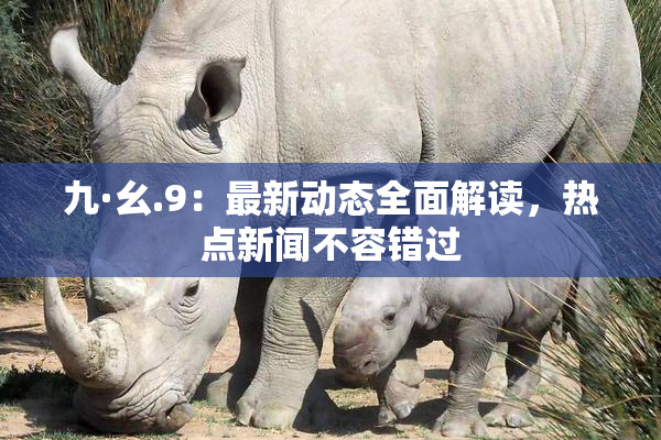 九·幺.9：最新动态全面解读，热点新闻不容错过