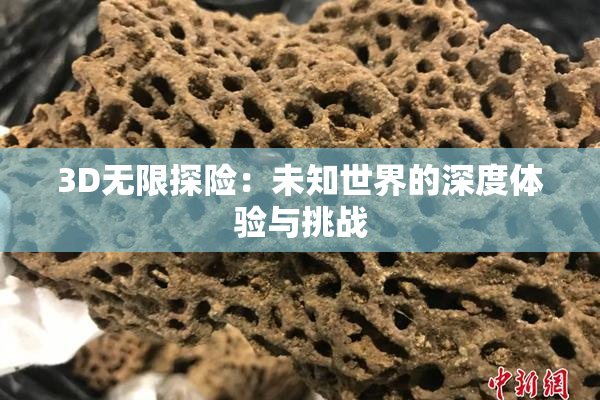 3D无限探险：未知世界的深度体验与挑战