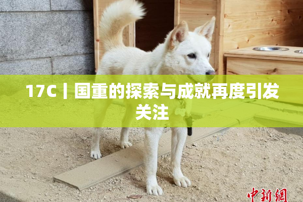 17C丨国重的探索与成就再度引发关注