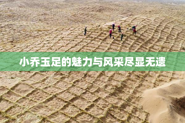 小乔玉足的魅力与风采尽显无遗