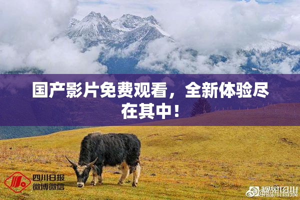 国产影片免费观看，全新体验尽在其中！