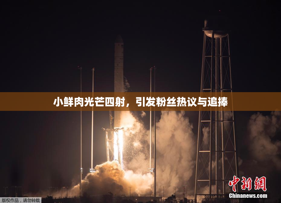 小鲜肉光芒四射，引发粉丝热议与追捧