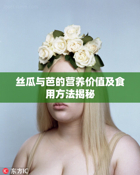 丝瓜与芭的营养价值及食用方法揭秘