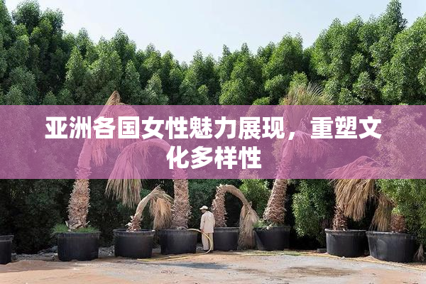 亚洲各国女性魅力展现，重塑文化多样性