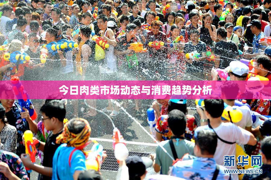 今日肉类市场动态与消费趋势分析