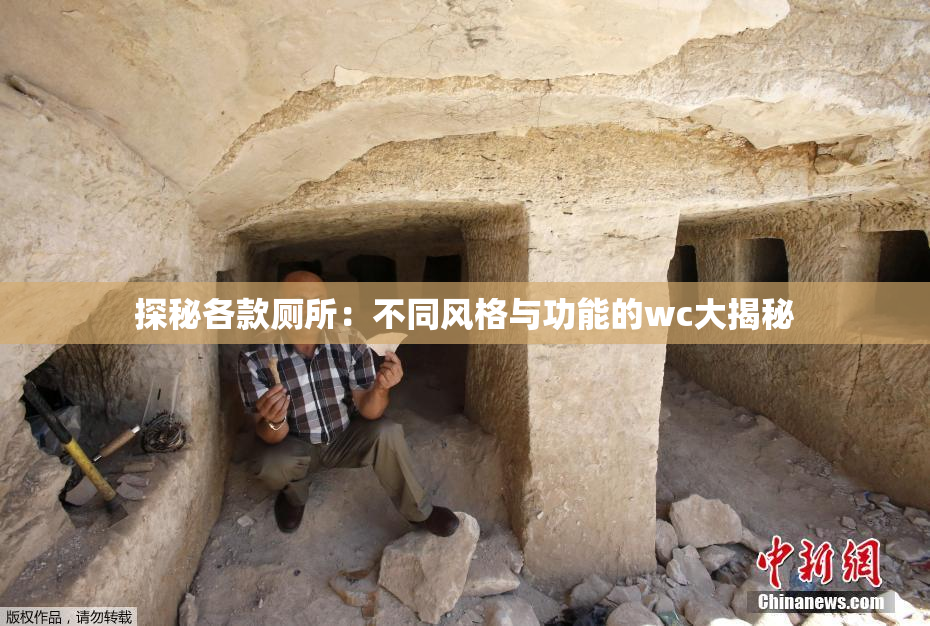 探秘各款厕所：不同风格与功能的wc大揭秘