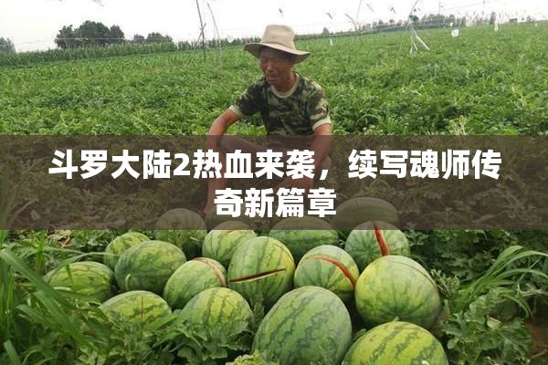 斗罗大陆2热血来袭，续写魂师传奇新篇章