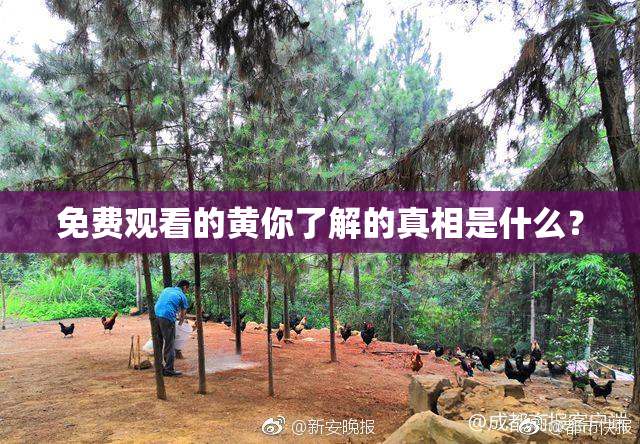 免费观看的黄你了解的真相是什么？