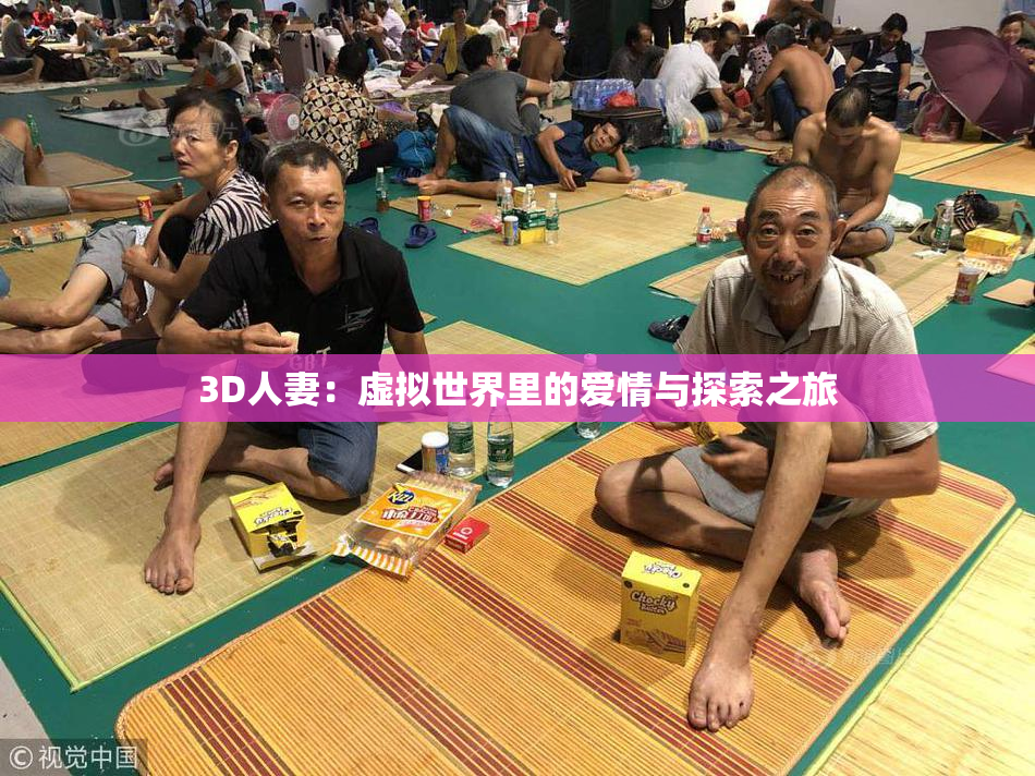 3D人妻：虚拟世界里的爱情与探索之旅